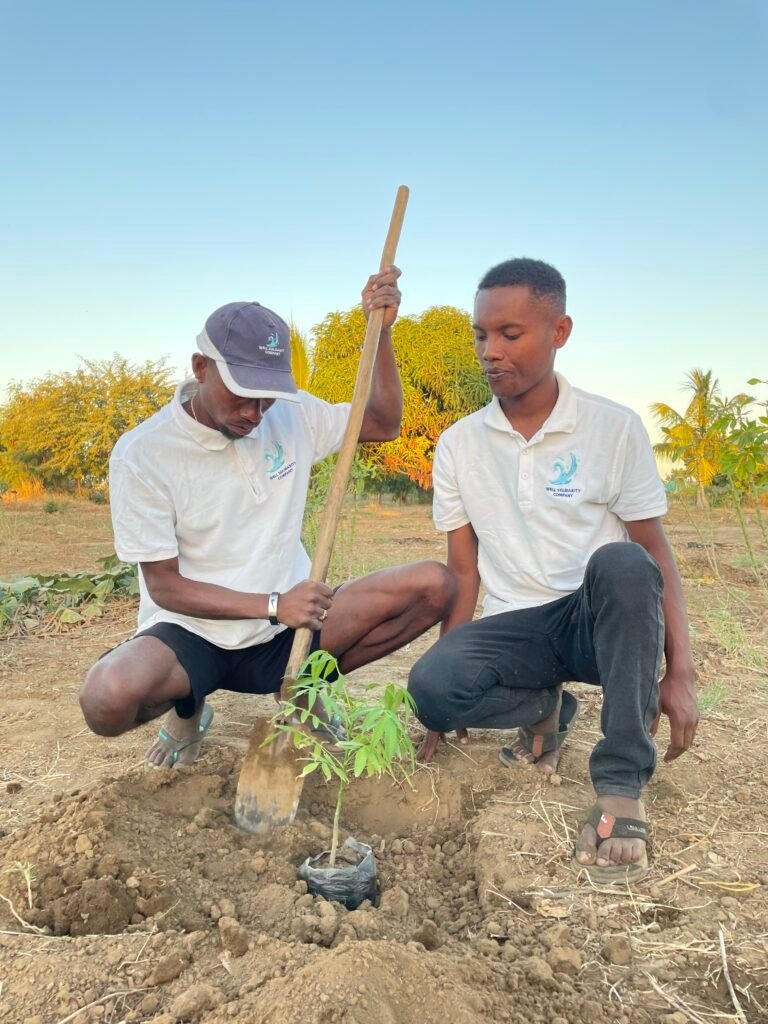 Well Solidarity - Planter un Arbre