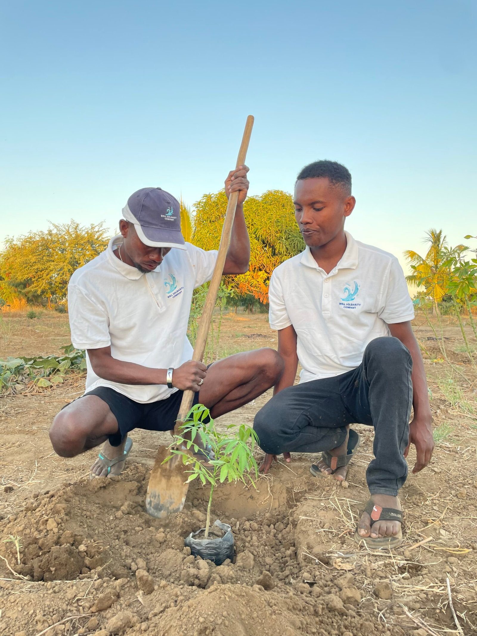 Two men planting a tree in the ground.