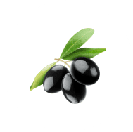 Three black olives on a branch.