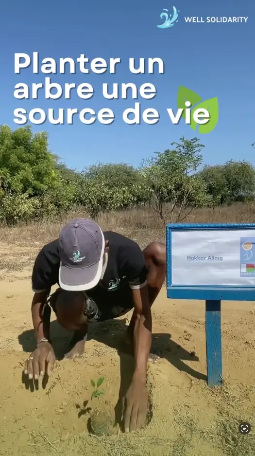 Man planting a tree with a sign beside it