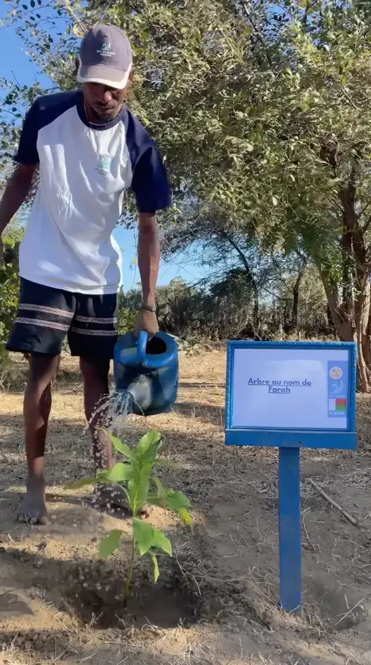 Man watering a tree with a blue watering can.