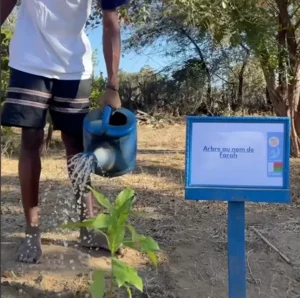 Tree dedicated to Farah, being watered.