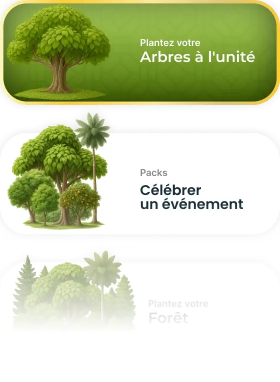 Illustrations of trees for planting and celebration.