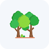 The orchard